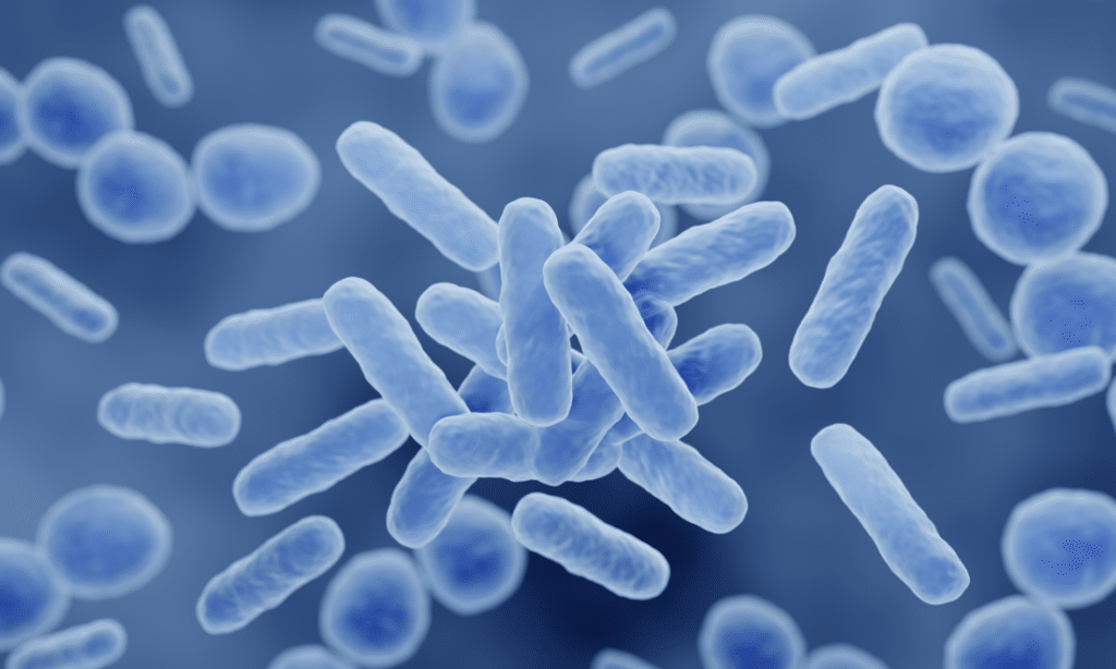 Probiotics in Skincare