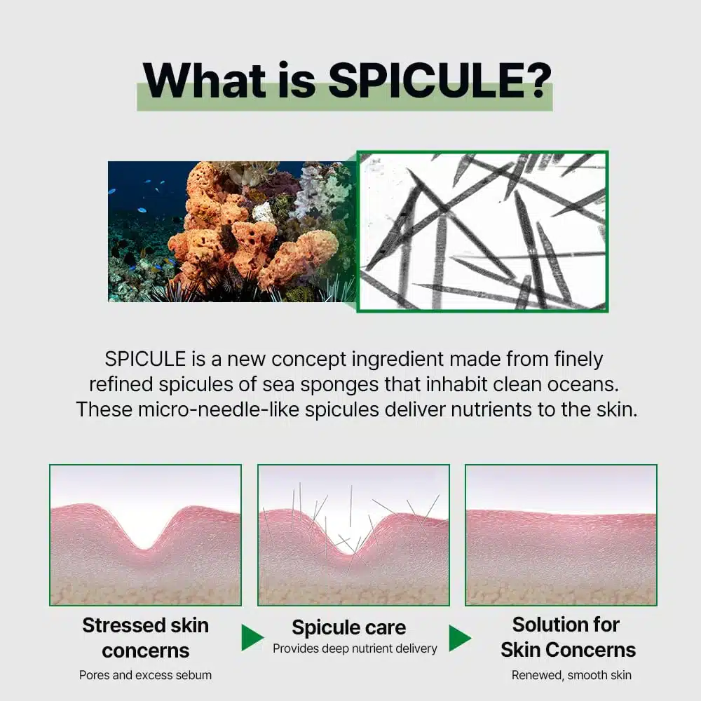spicule