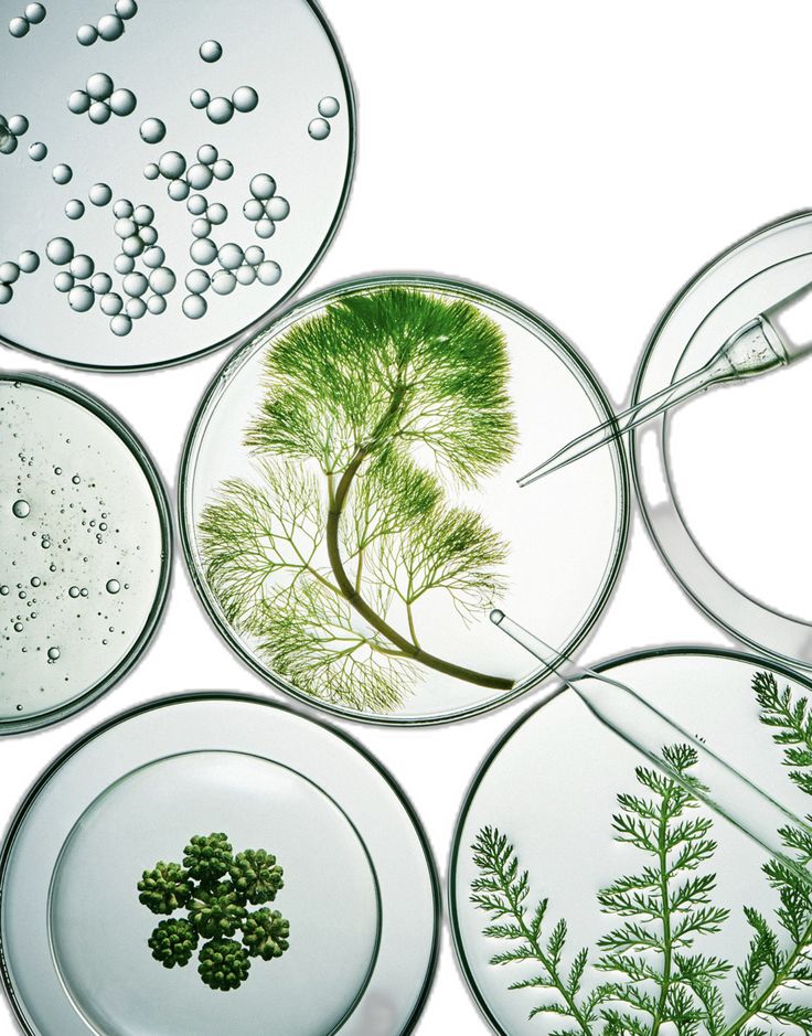 Microbiome-Centered Formulations
