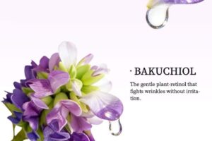 Anti-Aging Bakuchiol