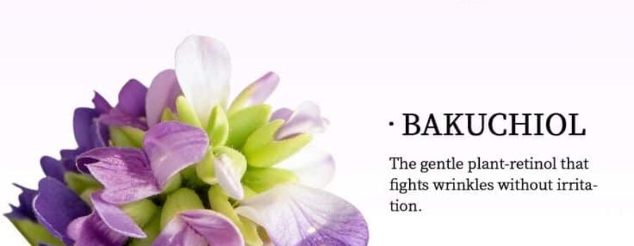 Anti-Aging Bakuchiol